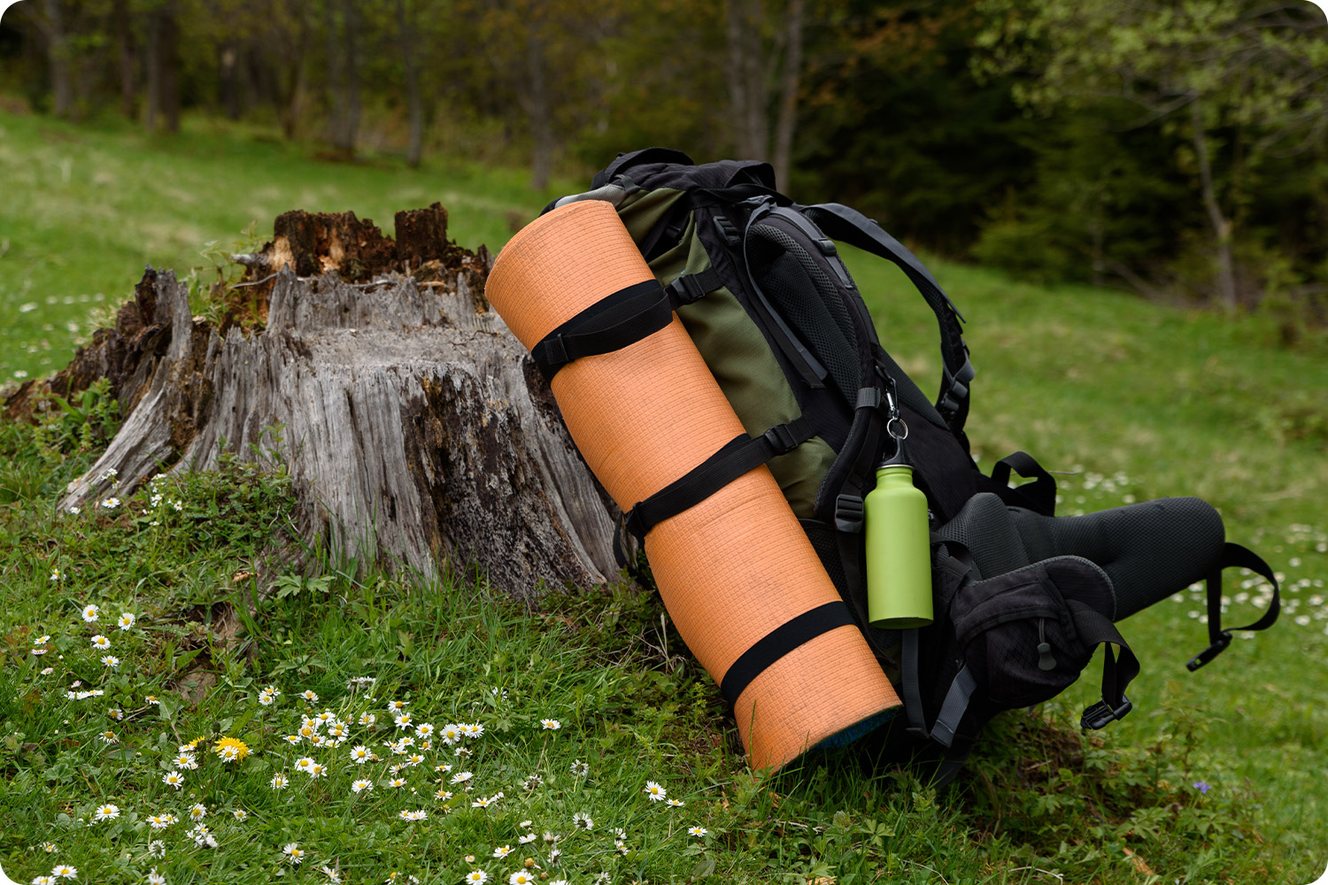 SPORTS AND OUTDOORS